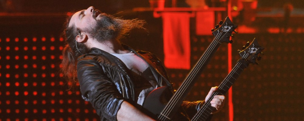 bumblefoot web