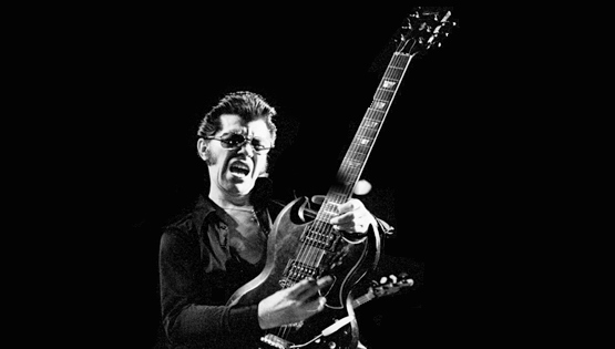 link wray