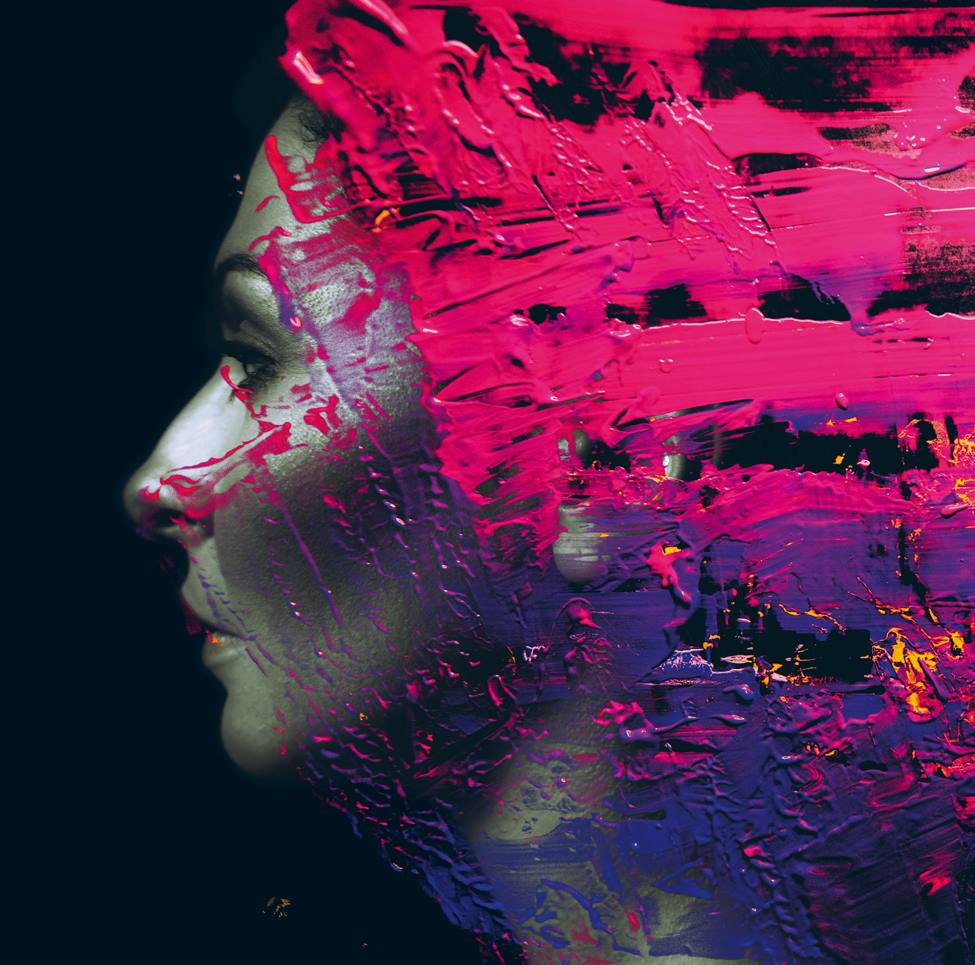 steven wilson hand cannot erase