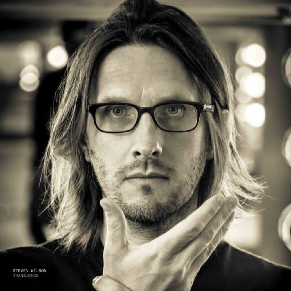 steven wilson transience