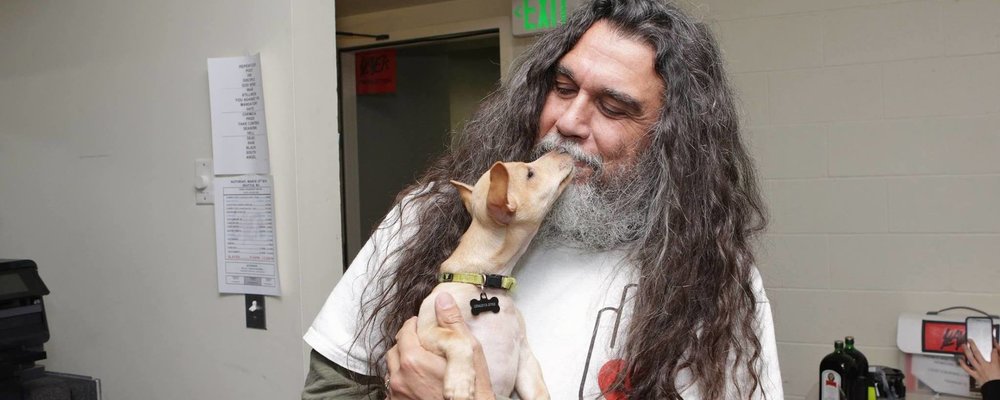 Tom Araya web