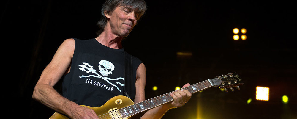 tom scholz web