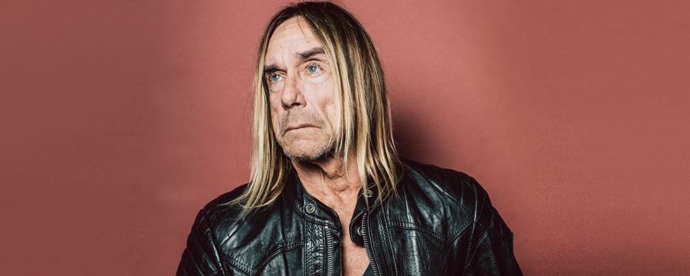 iggy pop 2016 web