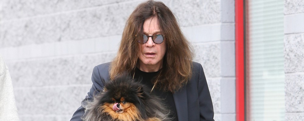 ozzy osbourne 2016 perro web