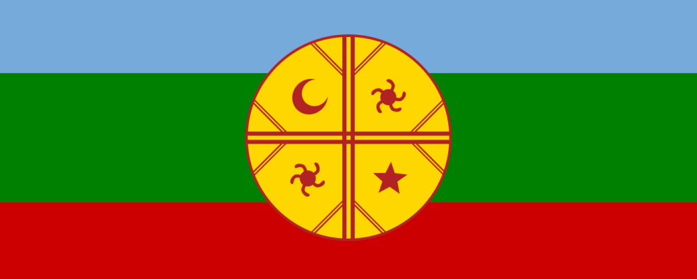 mapuche bandera web