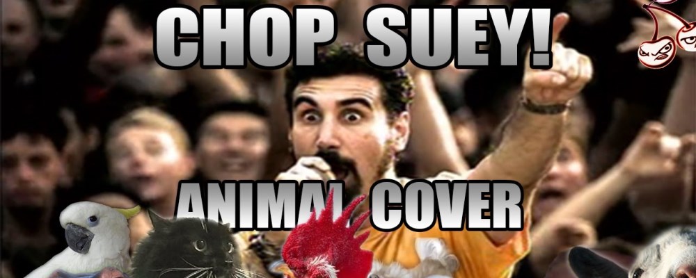 chop suey animal cover web