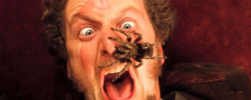 daniel stern tarantula web