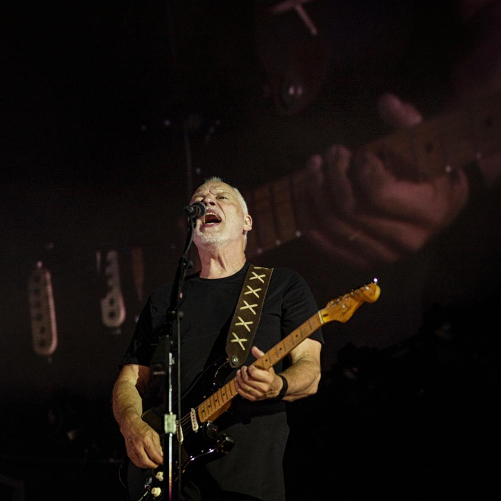 david gilmour pompeya guardian 10