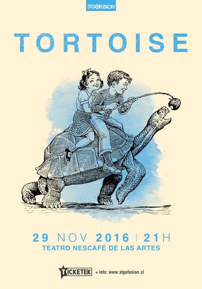 tortoise-chile-2016