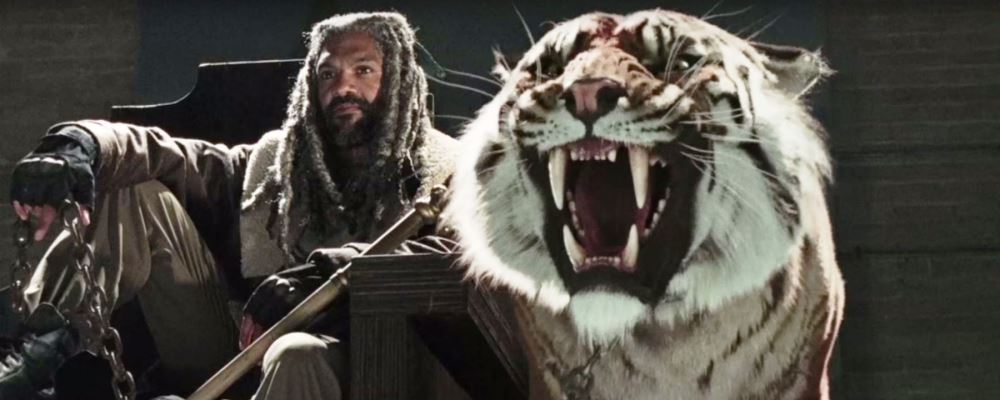 walking-dead-tigre-web