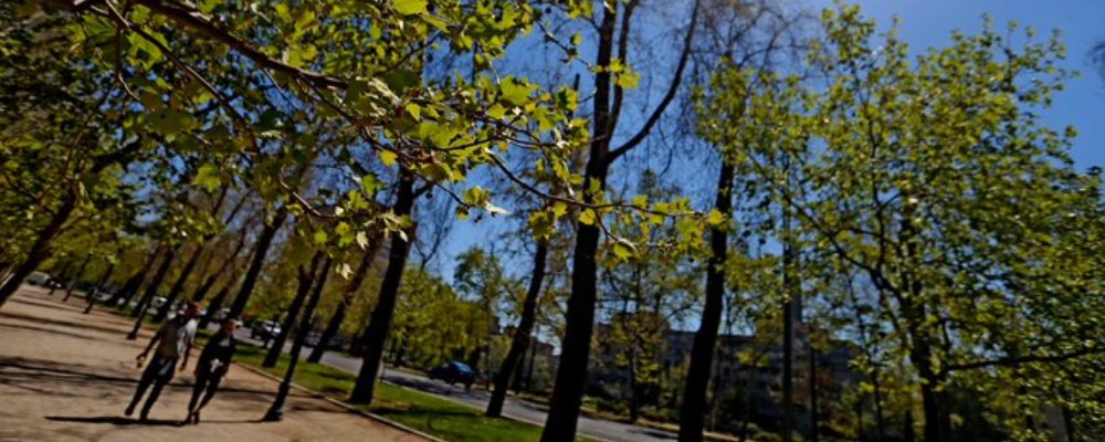 primavera pronóstico