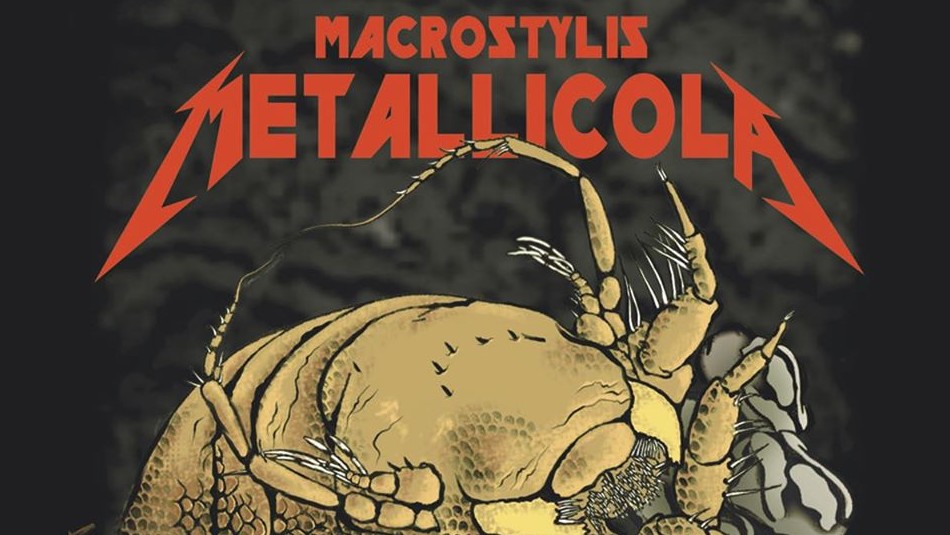 Metallica