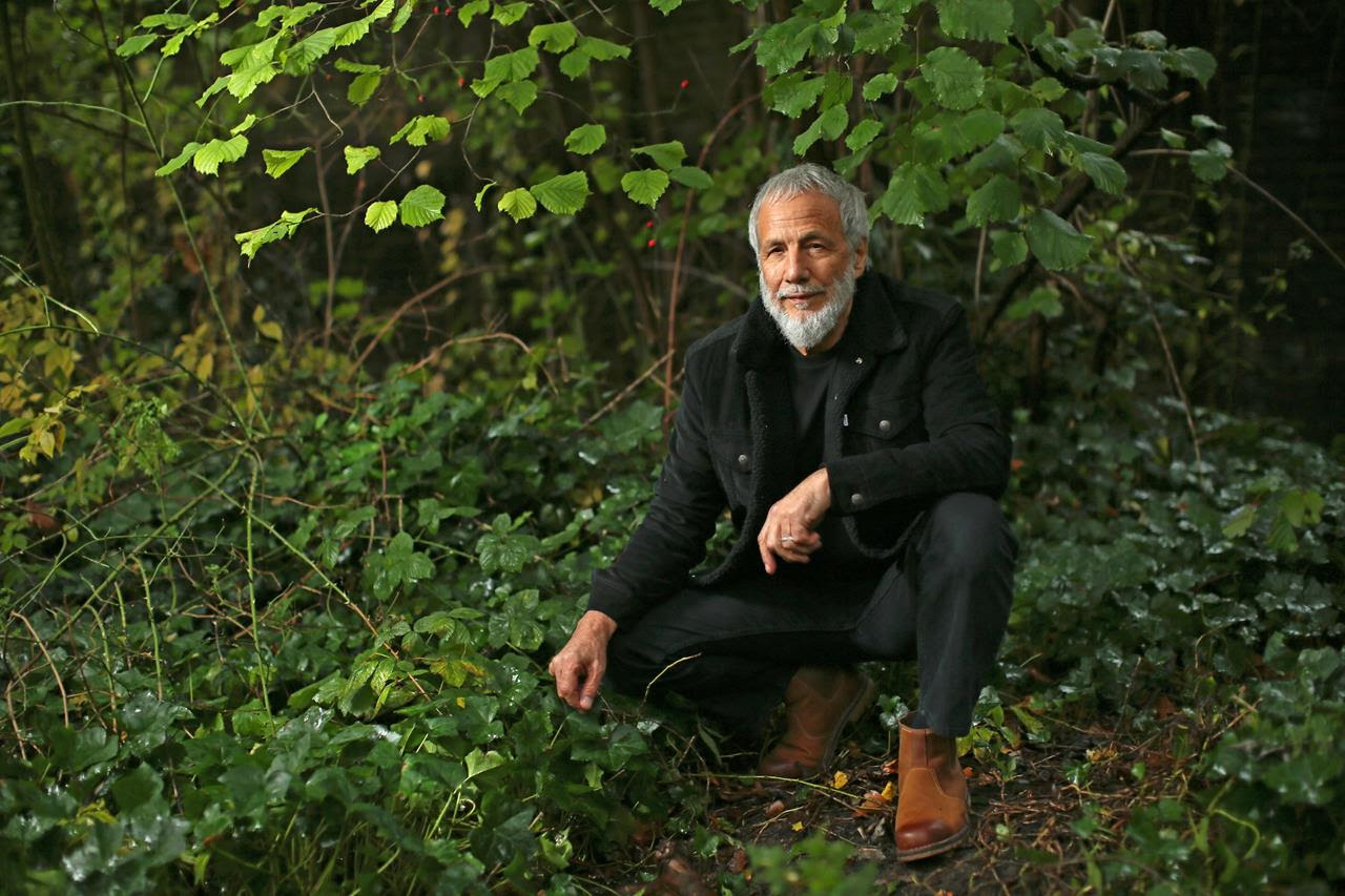 Yusuf / Cat Stevens Lanza Un Nuevo Videoclip Para "Wild World" — Futuro ...