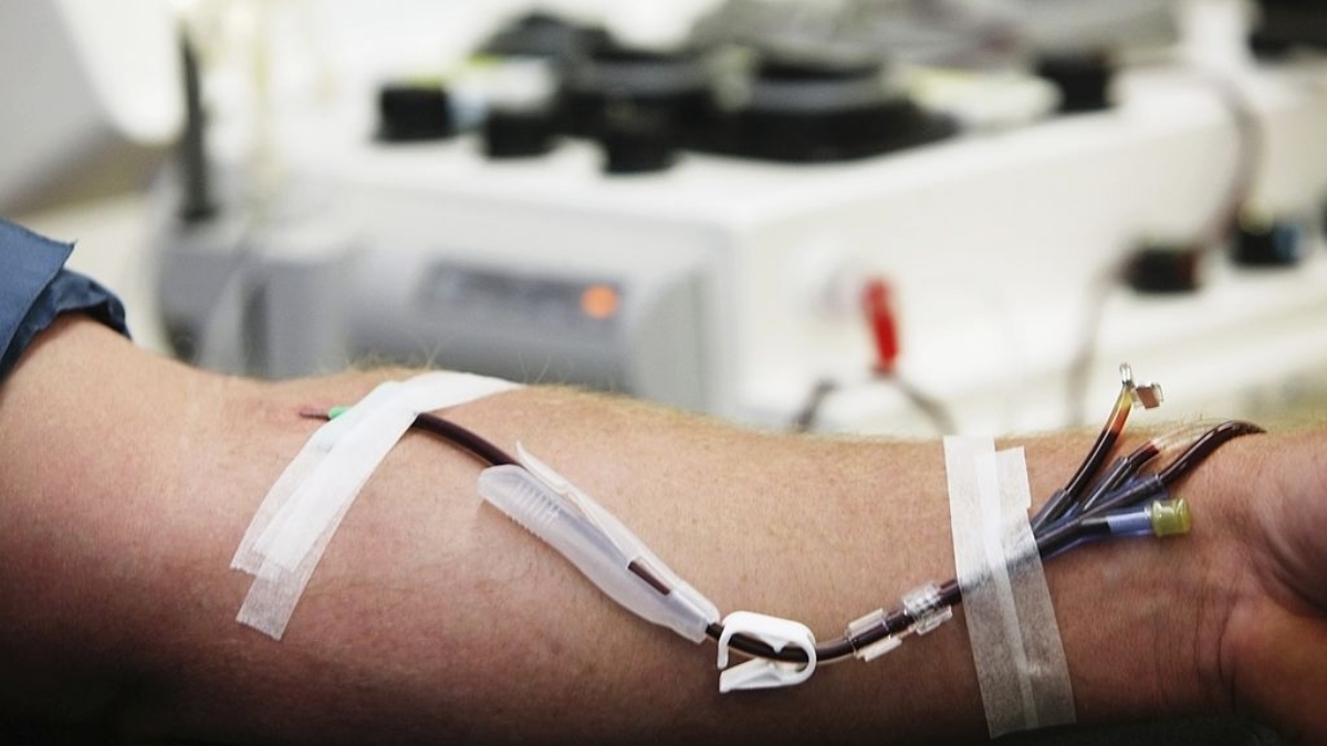 They create benefit to altruistic donors against the need for blood