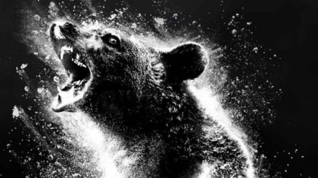 Cocaine Bear