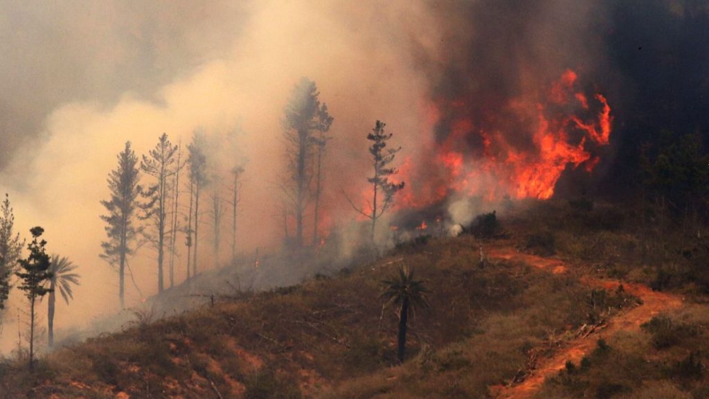 Melipilla Incendio Forestal Web