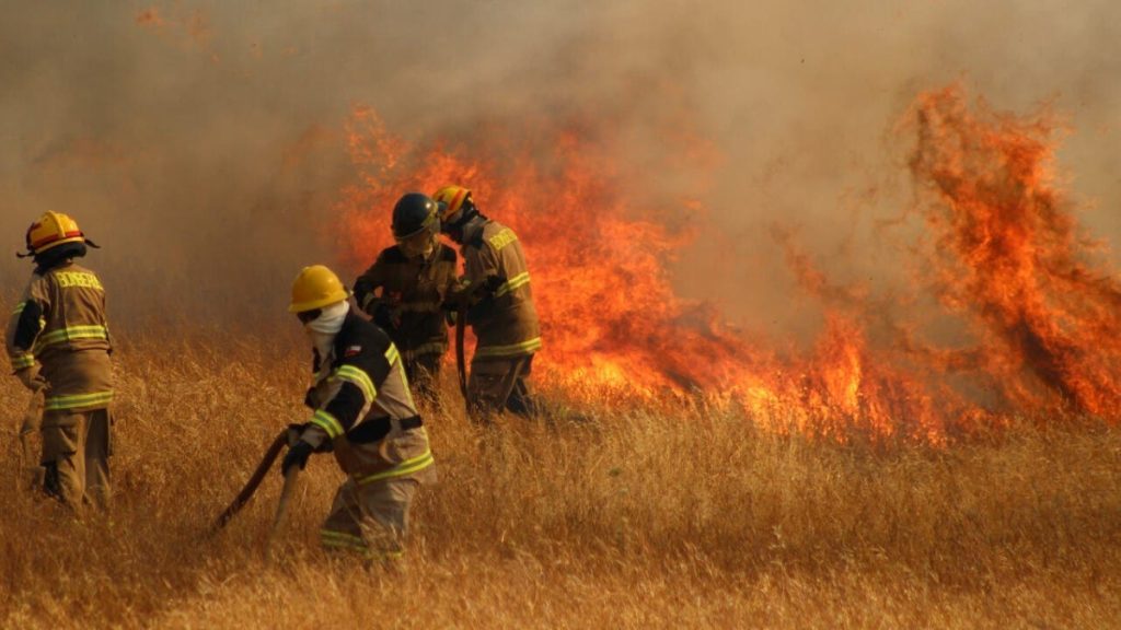 Incendios Forestales