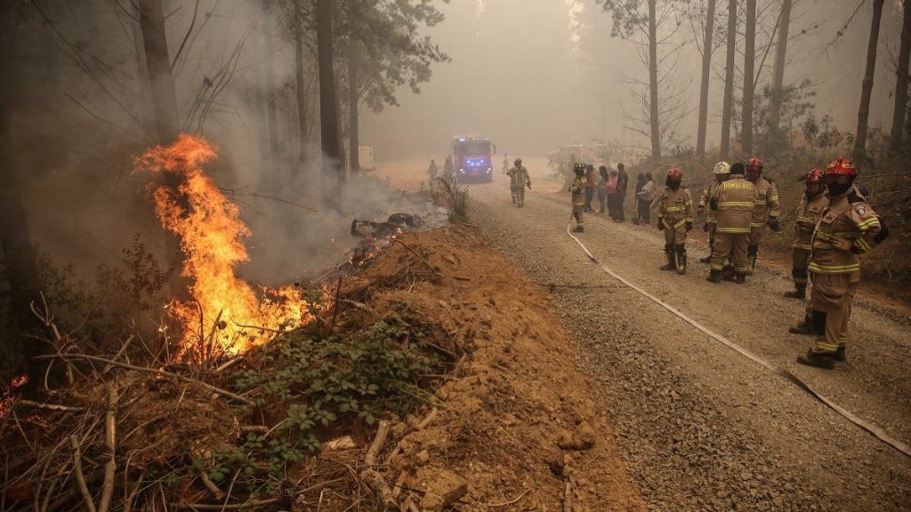 Incendios Forestales