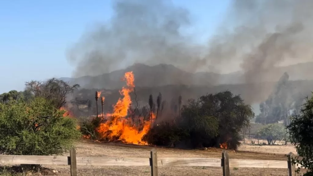 Incendios Forestales Golpe De Calor