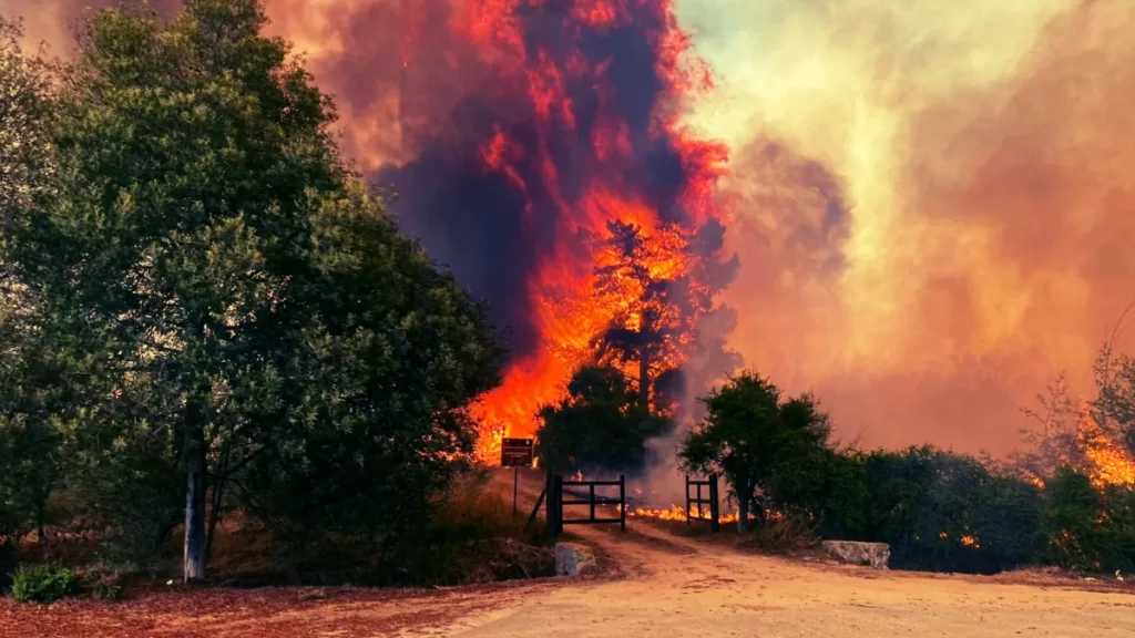 Incendio Región De Valparaíso