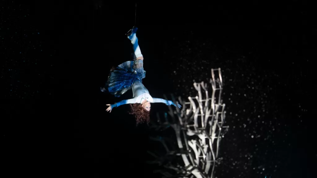 Crystal Cirque Du Soleil Web