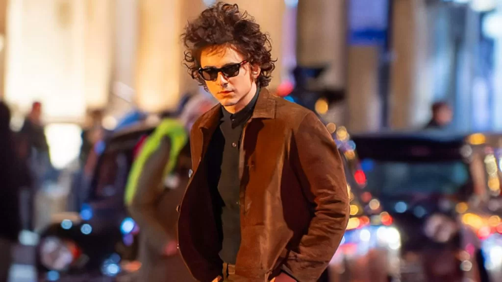 Timothée Bob Dylan