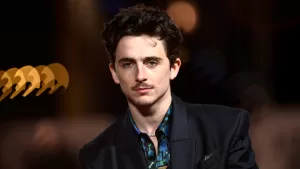 Timothee Chalamet A Complete Unknown